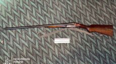 Собаку застрелили на Харківщині: прокуратура відкрила справу (фото)