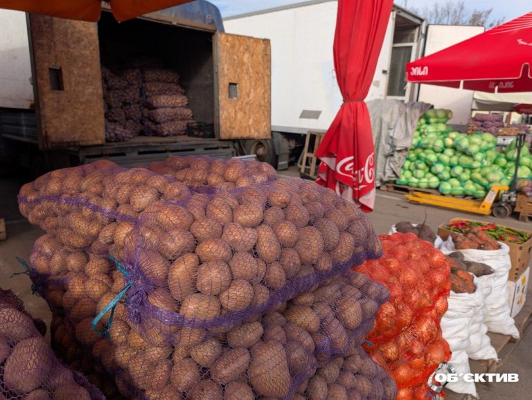 Взлетят ли в Харькове цены на овощи, как в прошлом году: прогноз торговцев 📹