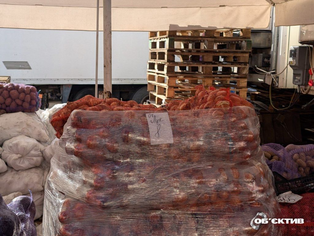 Конный рынок в Харькове