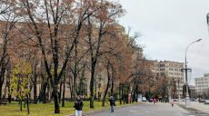 Вночі до 0, тумани: прогноз погоди в Харкові та області на 14 листопада