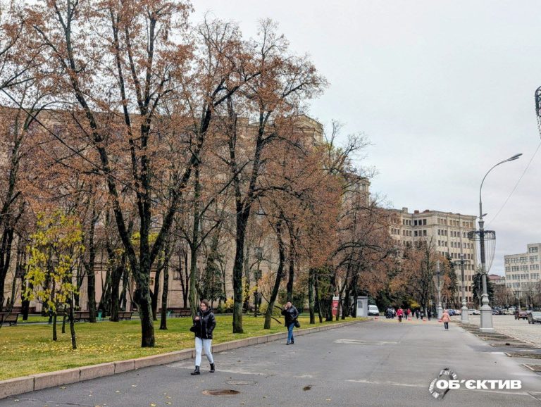 Ночью до 0, туманы: прогноз погоды в Харькове и области на 14 ноября