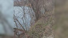 Зі ставка в Чугуєві виловили тіло 37-річного чоловіка: що сталося