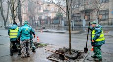 В «Харьковзеленстрое» объяснили, как будут тратить 110 млн грн на озеленение