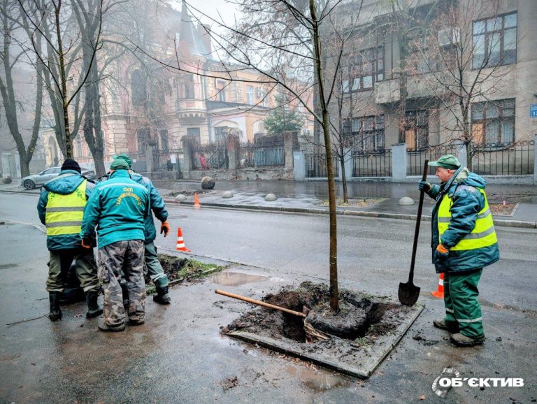 В «Харьковзеленстрое» объяснили, как будут тратить 110 млн грн на озеленение