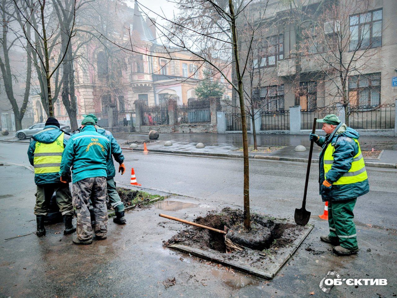 В «Харьковзеленстрое» объяснили, как будут тратить 110 млн грн на озеленение