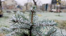 Прогноз на грудень-2025: якою буде погода в Харкові та області