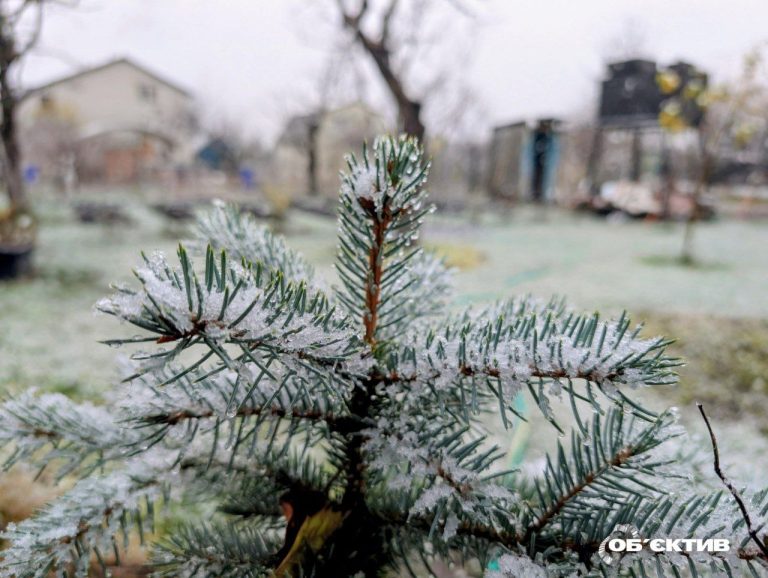 Прогноз на декабрь-2025: какой будет погода в Харькове и области