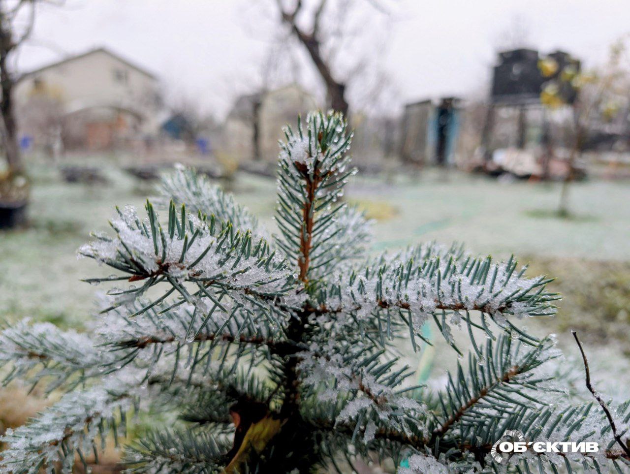 Прогноз на декабрь-2025: какой будет погода в Харькове и области