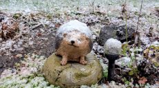 Туман и дождь с мокрым снегом. Прогноз погоды на 20 ноября в Харькове и области