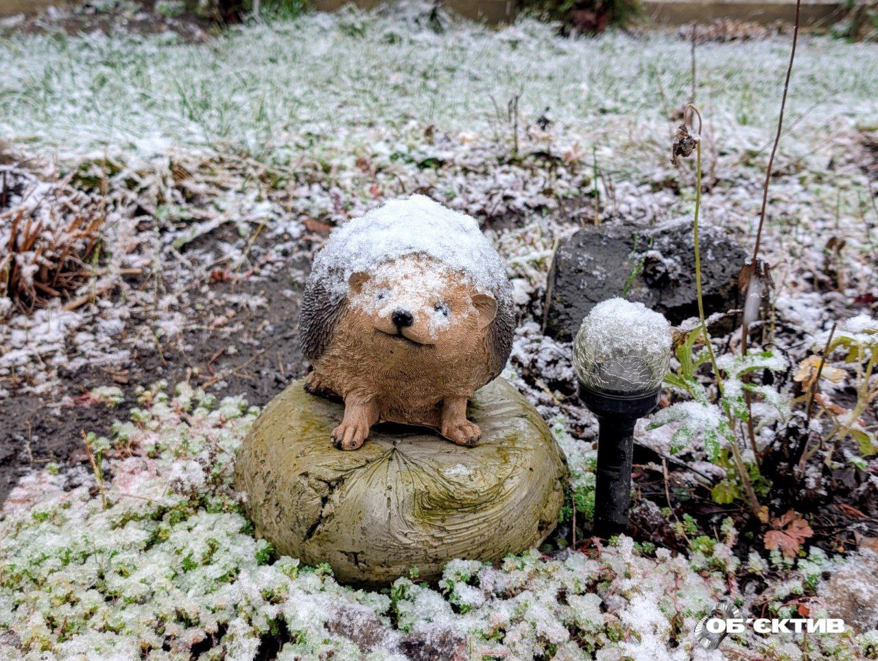 Туман і дощ із мокрим снігом. Прогноз погоди на 20 листопада у Харкові й області
