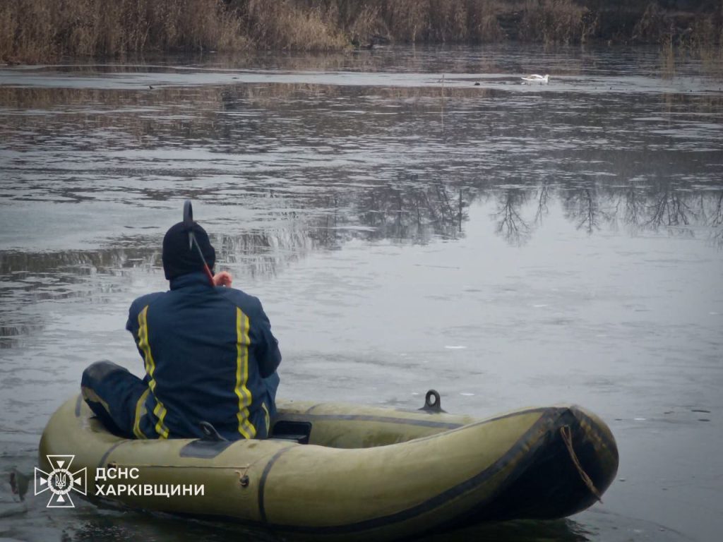 спасли лебедя под Харьковом