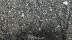 Синегубов просит жителей Харьковщины быть осторожными в пятницу