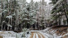 Опасная погода будет на Харьковщине два дня – к чему призвали копы