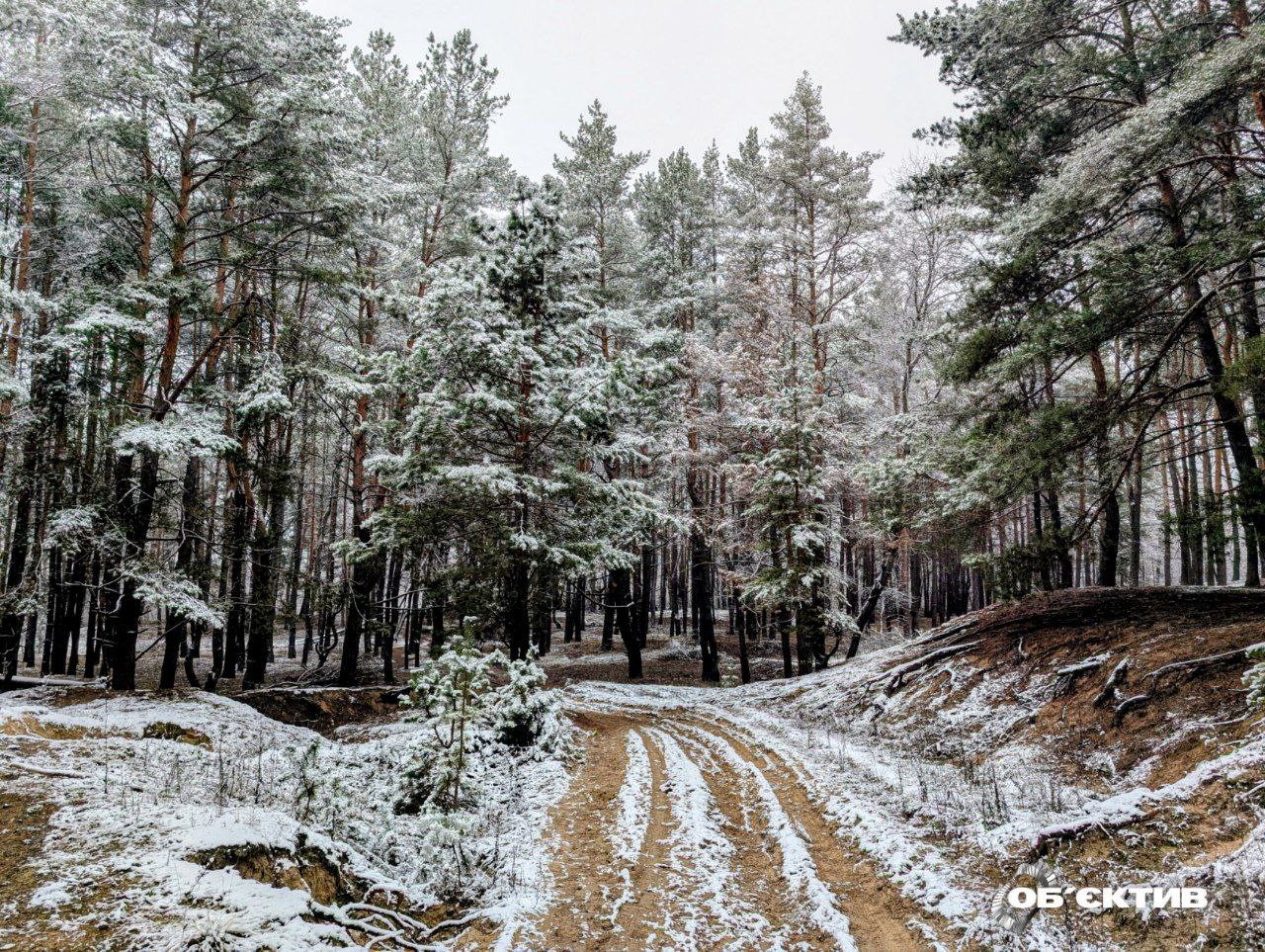 Опасная погода будет на Харьковщине два дня – к чему призвали копы