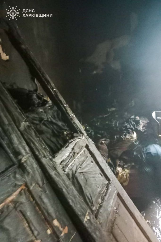 Смертельный пожар в Рогани