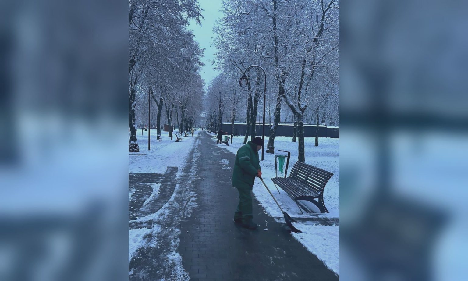 Первый снег в Харькове: с ним борются коммунальщики и спецтехника(фото)