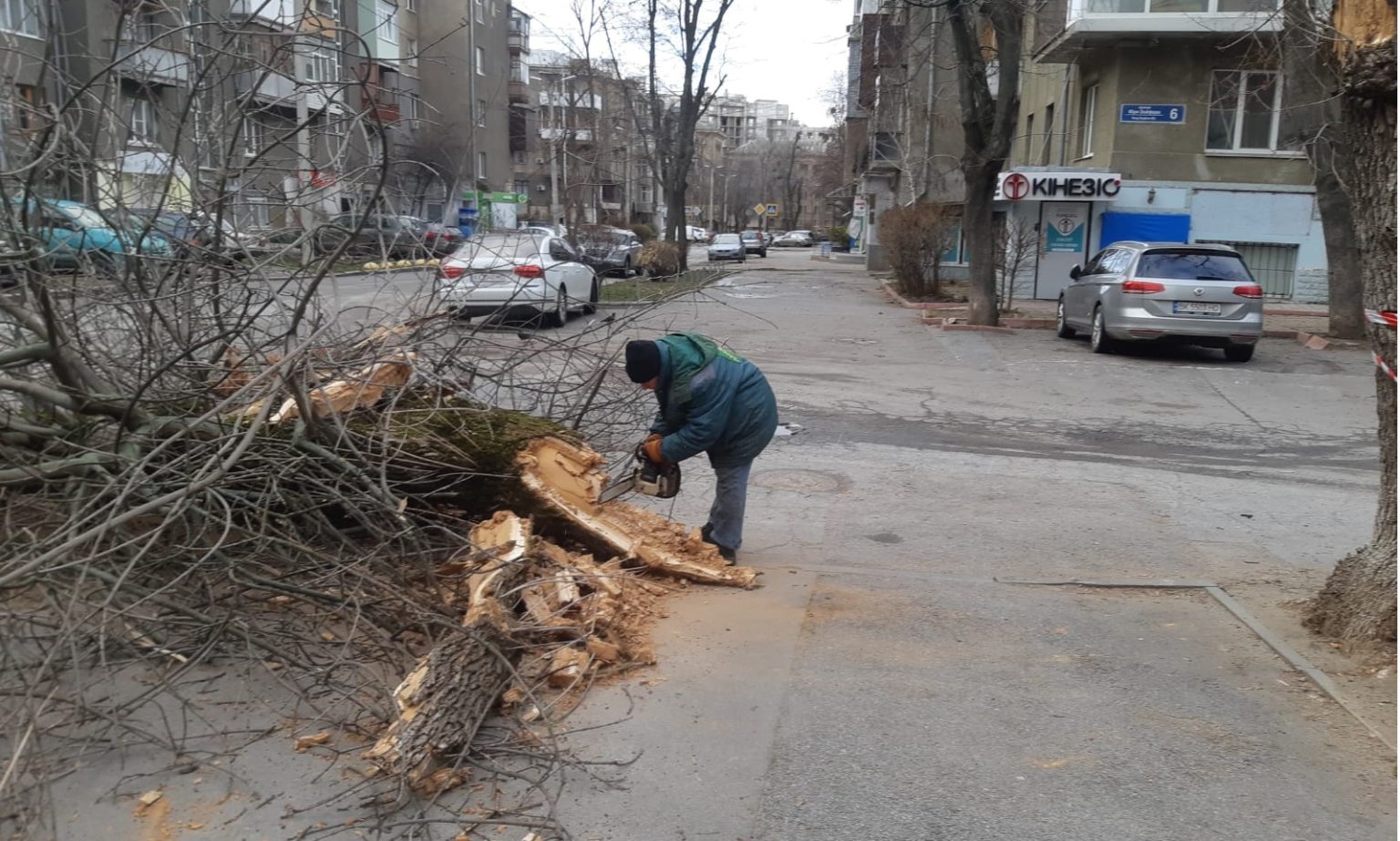 Ураган в Харькове повалил десятки деревьев: последствия (обновлено, фото)