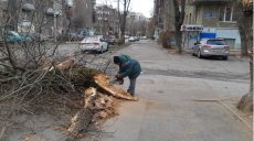 Ураган в Харькове повалил десятки деревьев: последствия (обновлено, фото)