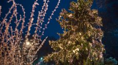 “Хочете ялинку – включаєте генератор” – у ХОВА заявили про економію електрики