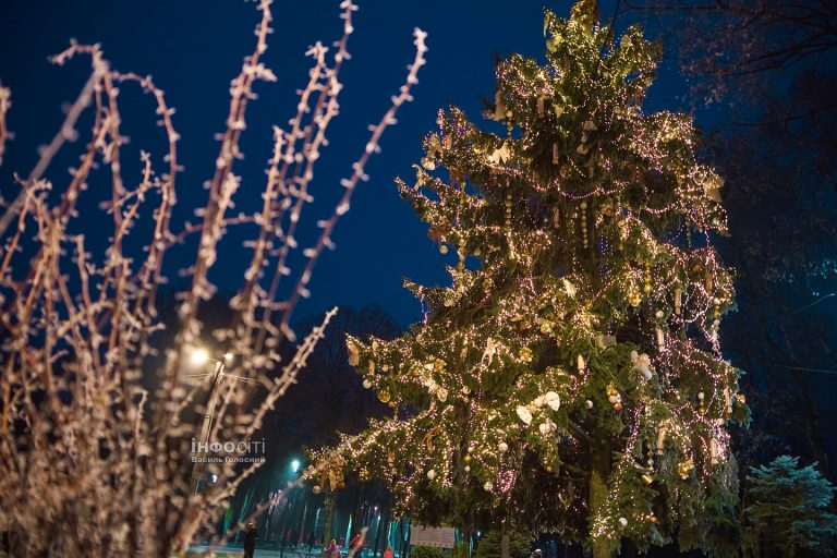 «Хотите елку — включаете генератор» — в ХОВА заявили об экономии электричества