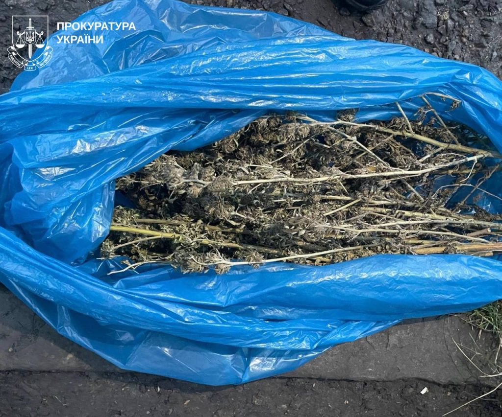 коноплю выращивали в Харькове