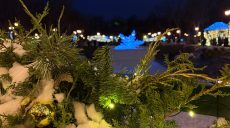 Снег, мороз, гололед: прогноз погоды в Харькове и области на 29 декабря