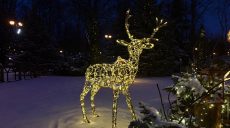 Новости Харькова — главное за 28 декабря: как прошла ночь