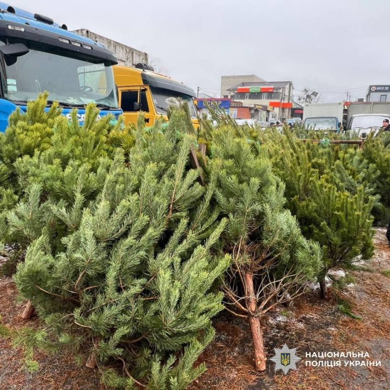 Елочные базары проверяют полицейские в Харьковской области