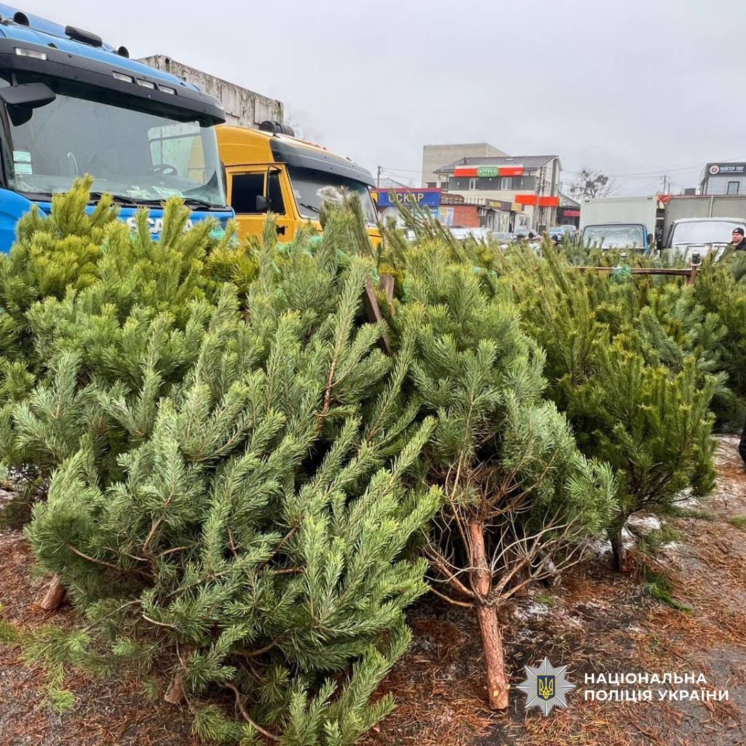 Ялинкові базари перевіряють поліціянти на Харківщині
