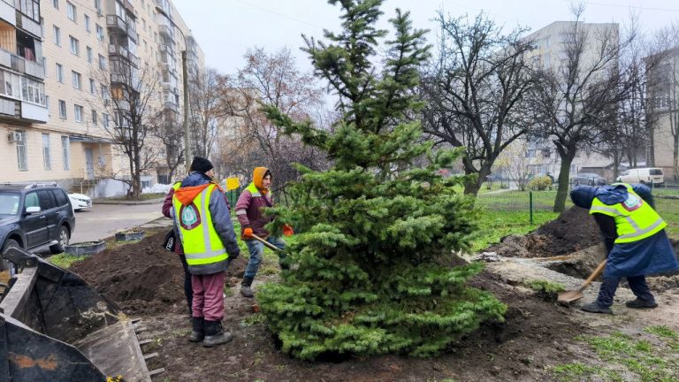 Молоді ялинки висаджують у Харкові: хто і де