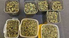 У Харкові вирощували коноплі елітних сортів: наркобізнес накрили (фото)