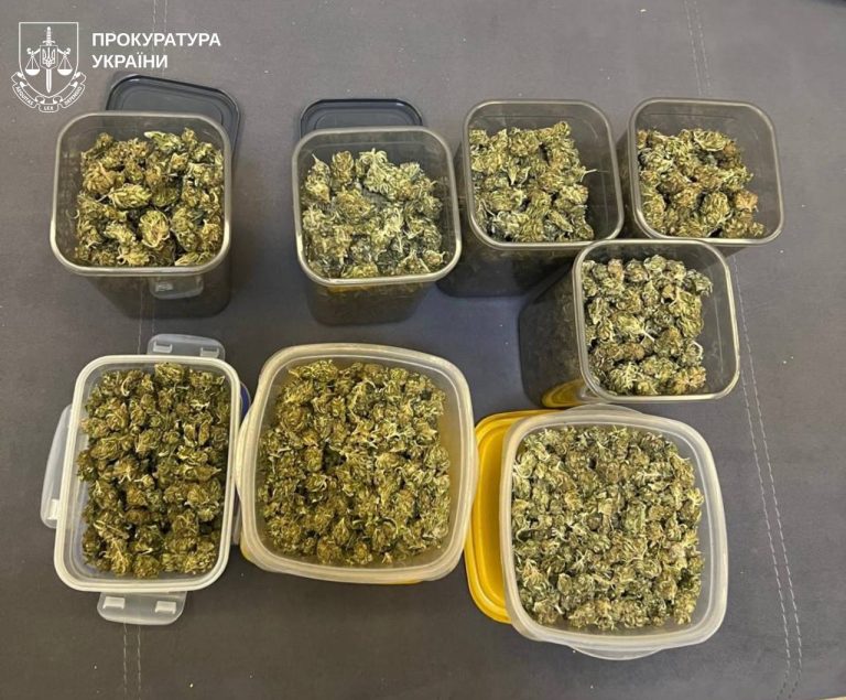 В Харькове выращивали конопли элитных сортов: наркобизнес накрыли (фото)