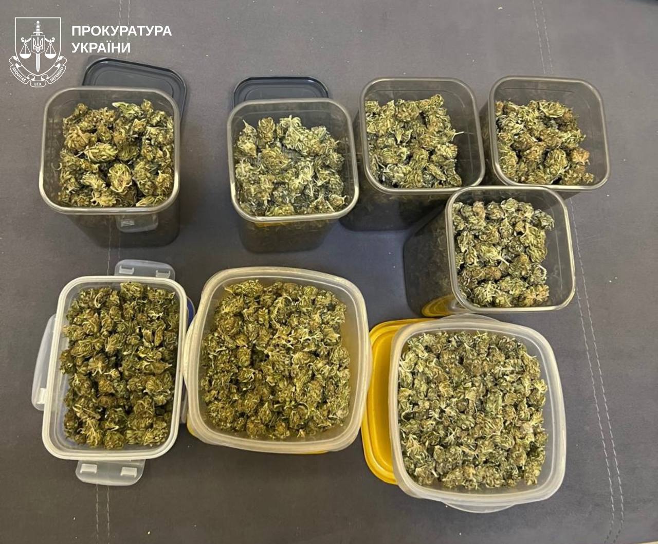 У Харкові вирощували коноплі елітних сортів: наркобізнес накрили (фото)