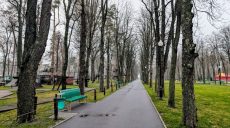 Вночі до 3º морозу. Прогноз погоди на 5 грудня у Харкові й області