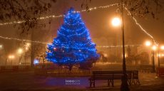 Ночью будет идти снег. Прогноз погоды на 22 декабря в Харькове и области