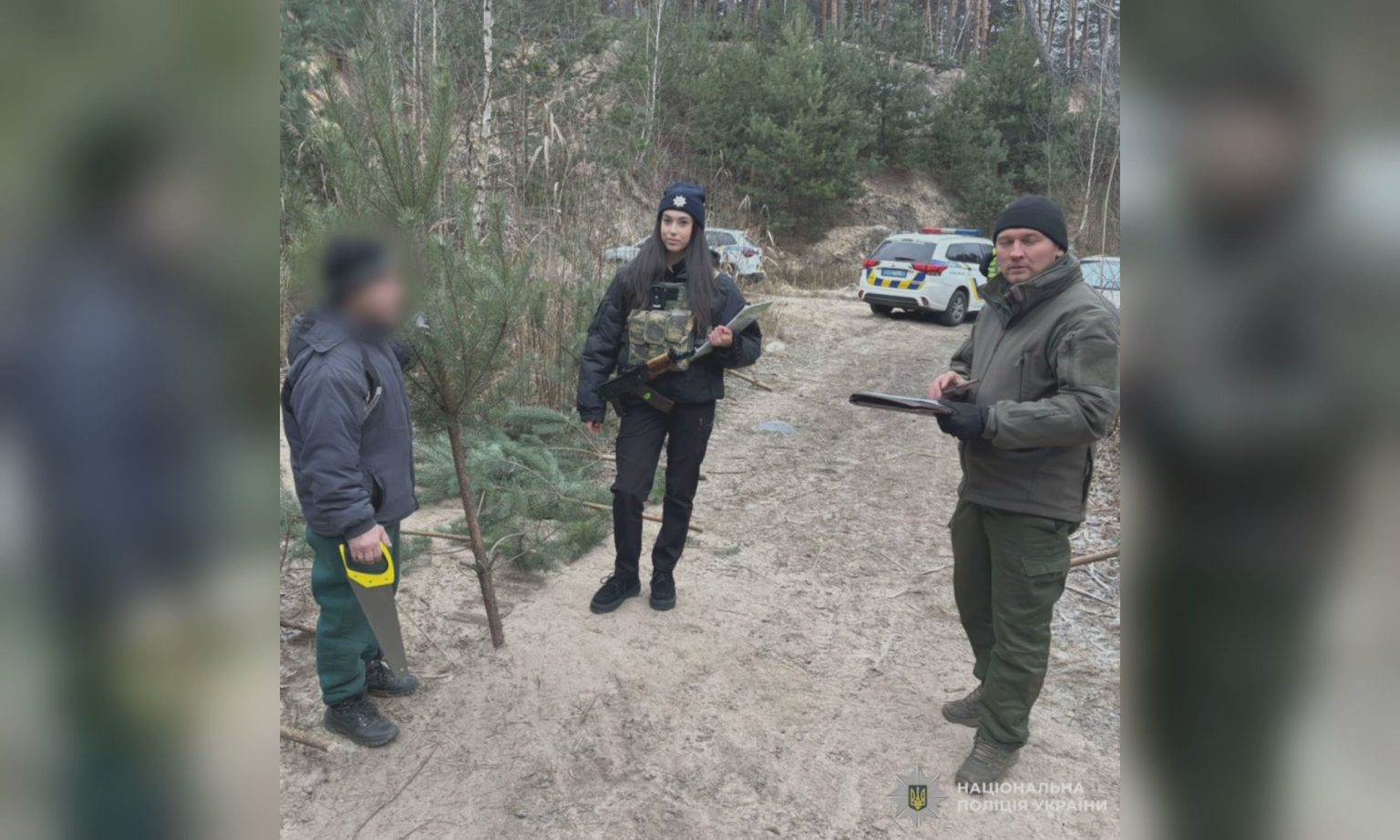 Срезал около 60 елок в Харькове: полиция открыла дело