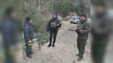 Зрізав близько 60 ялинок в Харкові: поліція відкрила справу