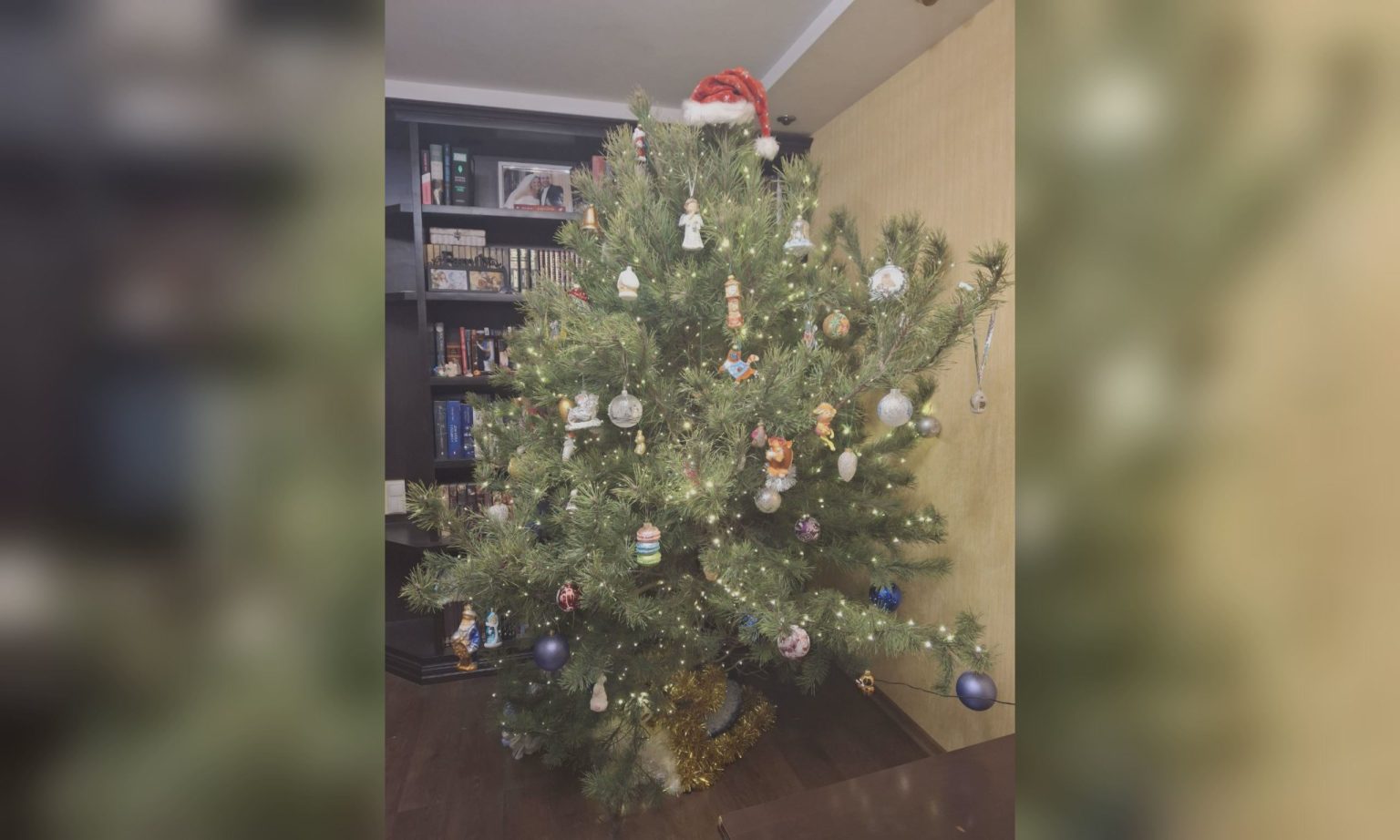 Безопасна ли новогодняя елка: харьковчанам дали советы, как не допустить беды