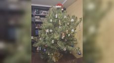 Безопасна ли новогодняя елка: харьковчанам дали советы, как не допустить беды