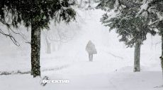 Новогодняя сказка: невиданный снегопад накрыл Харьков (видео)