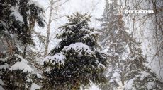 В течение двух дней на Харьковщине будет опасно. Людям стоит быть осторожными