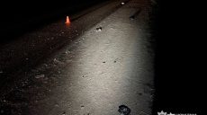 На Харьковщине сбили пешехода: водитель покинул место ДТП, нашли ли его