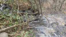 Нечистое дело: кого подозревают в масштабном загрязнении земель в Харькове