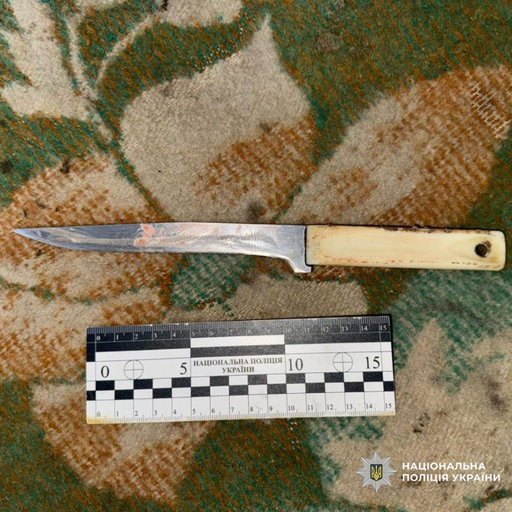 Жінка вдарила ножем співмешканця