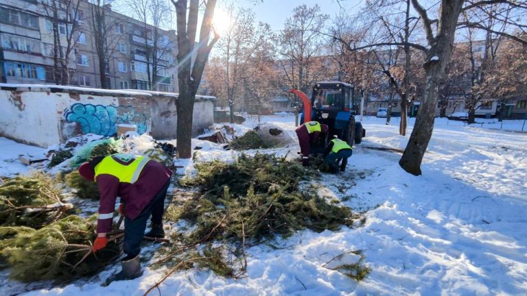 «Не оставлять в пакетах»: сколько елок уже утилизировали в Харькове