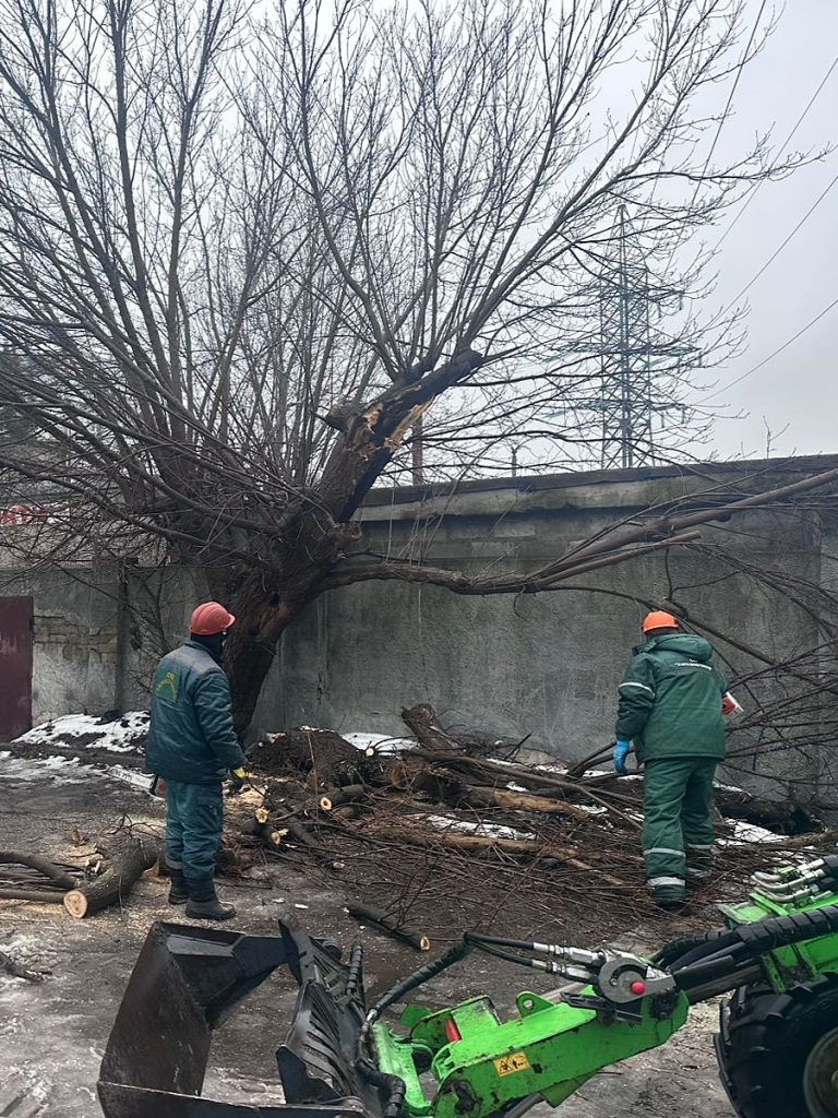 дерево упало в Харькове