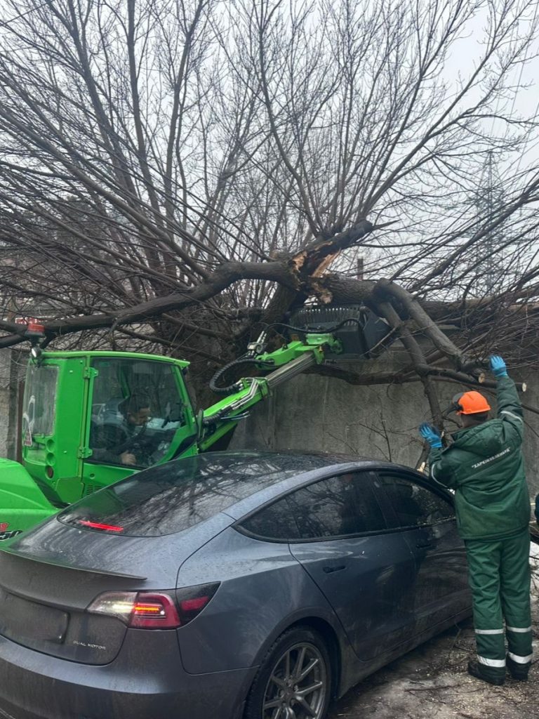 дерево упало в Харькове