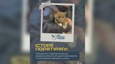 «Отримала другий шанс»: у Харкові з-під завалів будинку врятували кішку