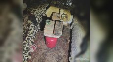 Трагическая смерть подростка в Песочине: полиция устанавливает обстоятельства