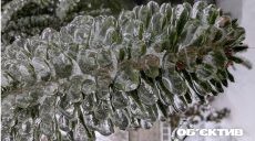 У Харкові буде до 28° морозу: прогноз погоди на перші дні лютого